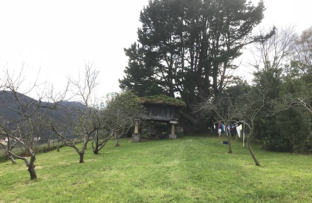 On the west coast of Asturias, semi-detached house in the middle of nature.