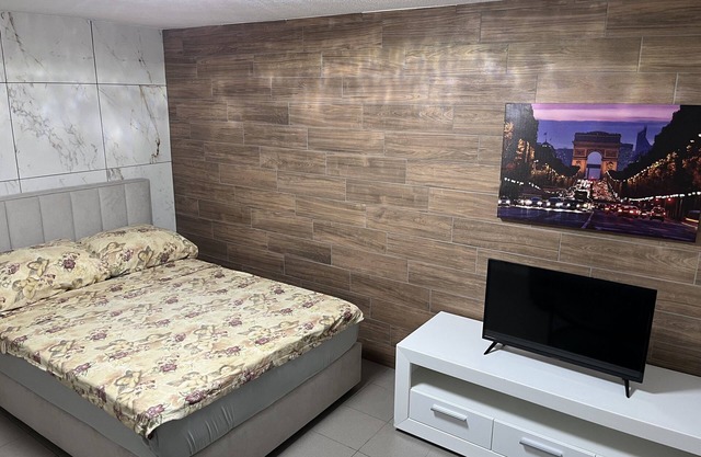 One Bedroom Apartment