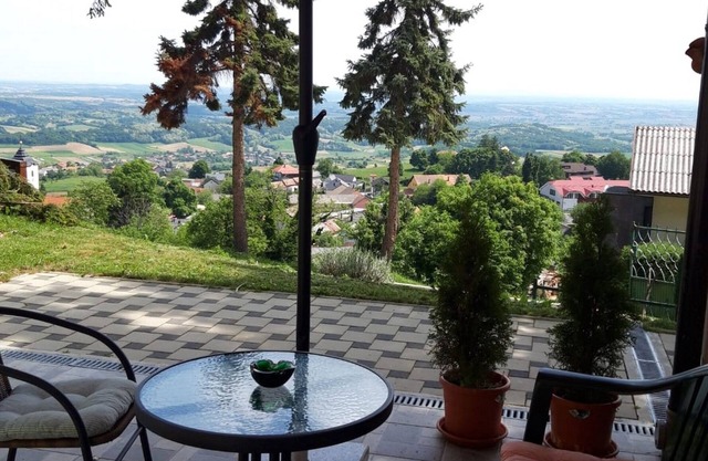 Apartamento de una habitación con una terraza Guardabarros - Kalnik, Podravina (A-22913-a)