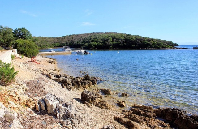 One bedroom apartment with balcony and sea view Punta kriza, Cres (A-18644-a)
