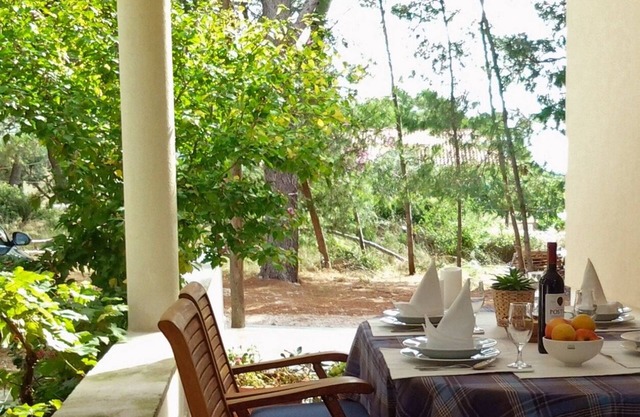 Apartamento de una habitación en la playa Verunic, Dugi otok (A-8103-b)