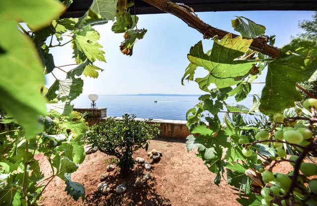 Apartamento de una habitación en la playa Puntinak, Brac (A-12255-b)