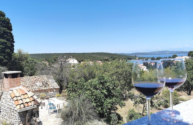 Apartamento de una habitación con terraza y vista al mar Zman, Dugi otok (A-449-b)