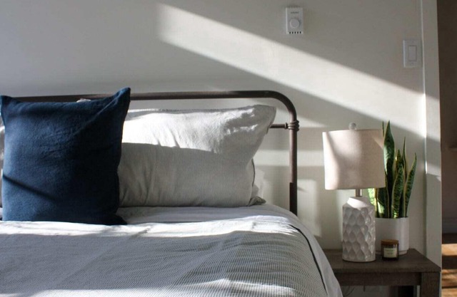 One Bedroom Sunny Apartment