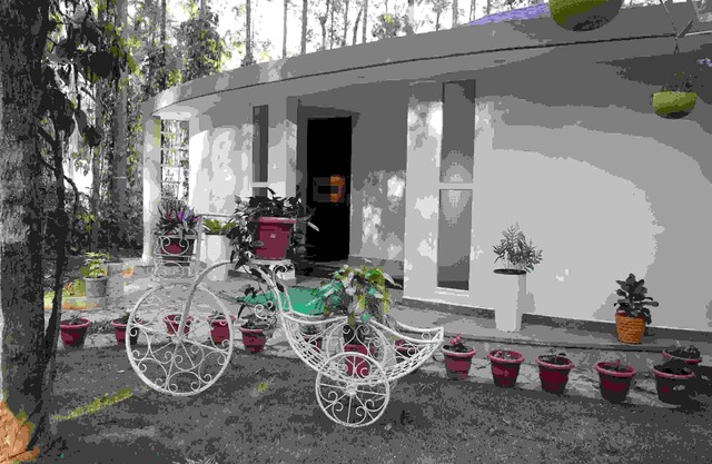 One Piece Homestay