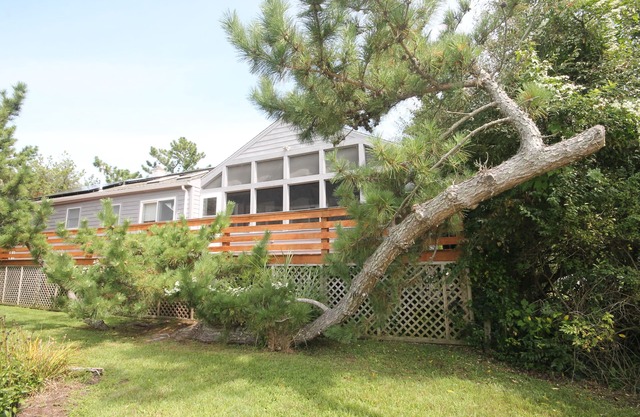 Only 2 short blocks to the beach! Fabulous 4 bedroom, 2.5 bath Cape May Point Cottage with living space on one level.