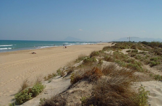 Apartamento con impresionantes vistas a la playa y al mar, jardín de palmeras y una piscina.
