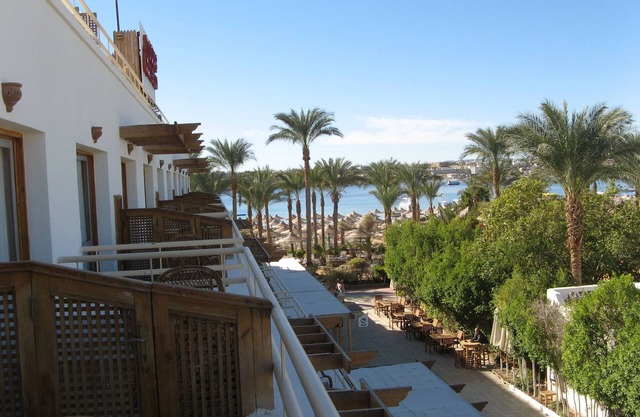 Oonas Dive Club