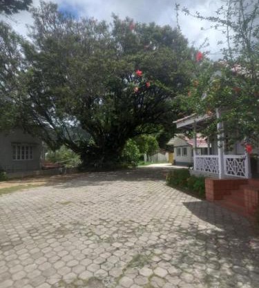 Ooty FernCrest