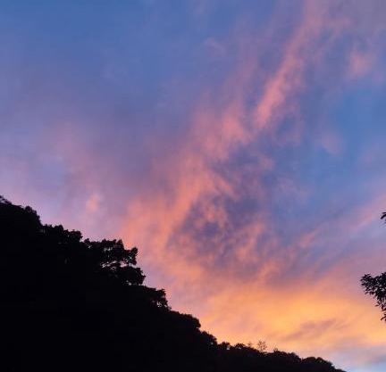 Orange Country