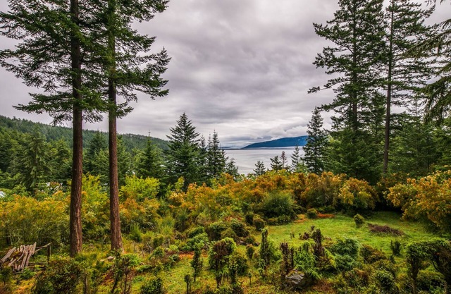 Orcas Island, Sea Acres Lodge # 266