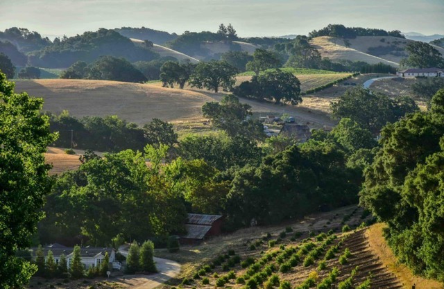 Orchard Hill Farm - Elegante confort en el deseable West Side Paso Robles