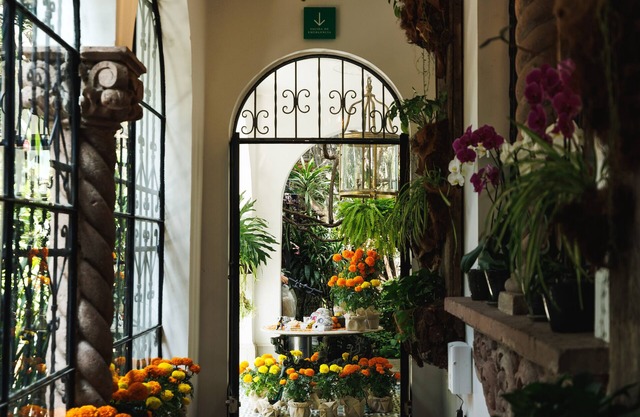 Orchid House Mexico City