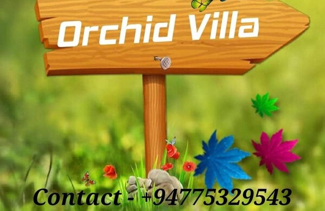 Orchid vila