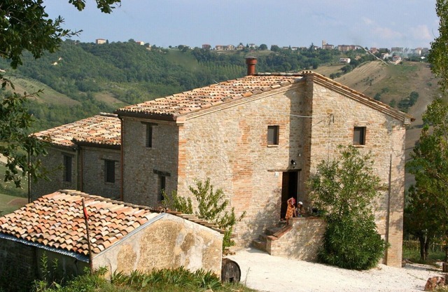 Viñedo orgánico / granja de olivos con magníficas vistas de las montañas / valle