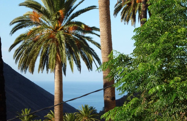 Original casa de campo romántica tranquila canaria