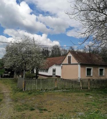 Orljak
