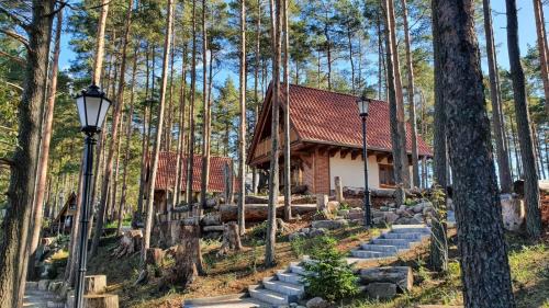 Osada Swory domki w lesie nad jeziorem