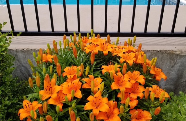 Osoyoos Lakeview Inn & Suites