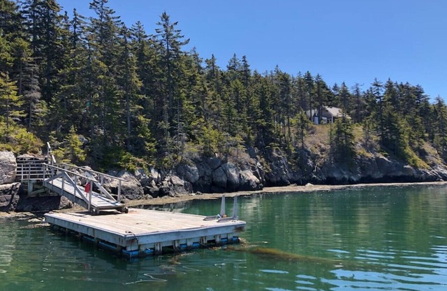 Muy por encima de todo, con espectaculares vistas de Penobscot Bay-Osprey Nest