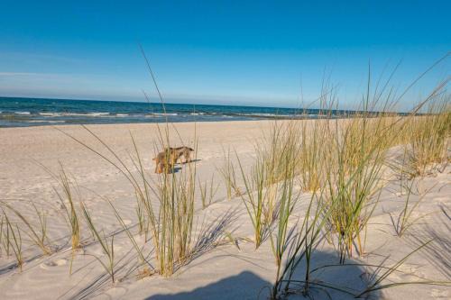 Ostsee