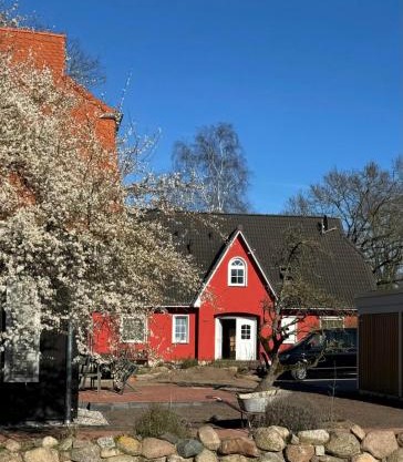 Ostseedomizil "Ankerbuk", Ferienwohnung Kormoran