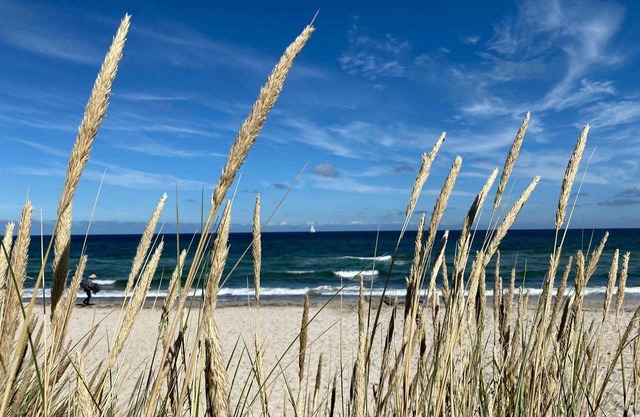 Ostseehaus am Naturstrand - Ostseeblick - Ostseehaus am Naturstrand