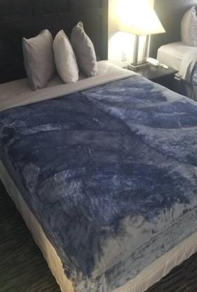 OSU Hotel 2 Queen Beds Hotel Room 132
