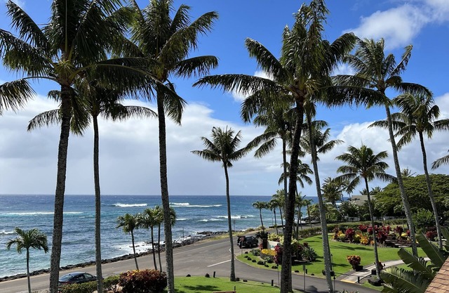 Our two bedroom LBR Oceanfront….Christmas week just opened up!