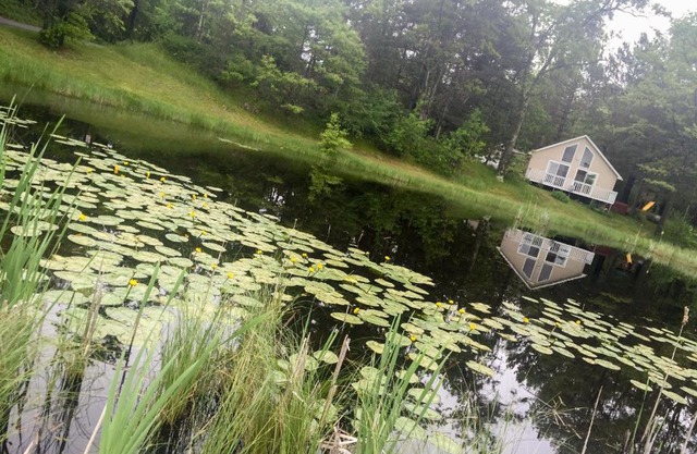 Our Wielgot Tradition cabin