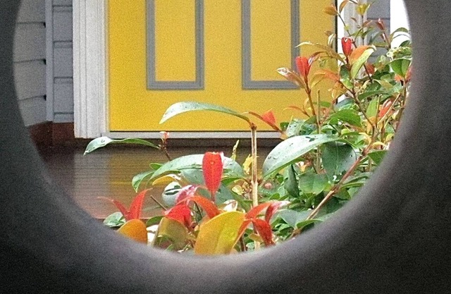 Our Yellow Door Cottage on Crane - CENTRAL & COSY