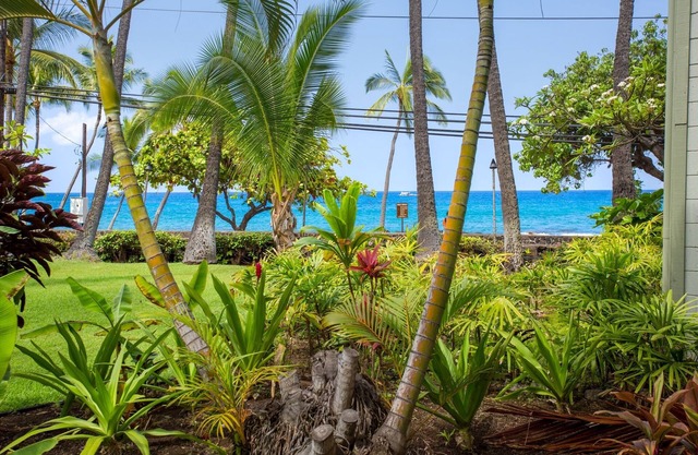 Outstanding Oceanfront Studio - Kona Islander Inn Condos Condo by RedAwning