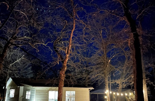 Owl Hoot Lake Retreat- Dock, beach & wooded spring/summer haven!