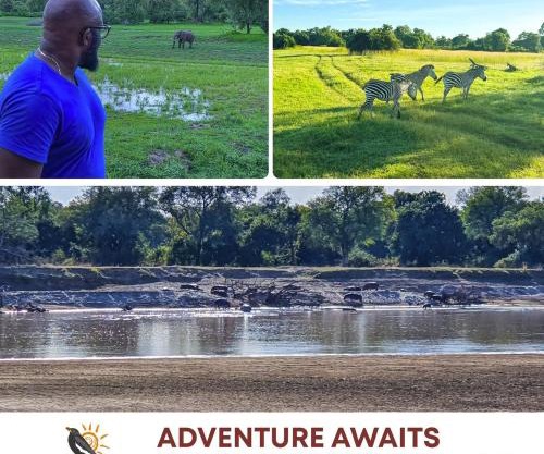 Oxpecker Safari Lodge