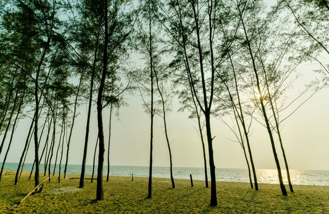 OYO 13415 Cherai Village Home Stay