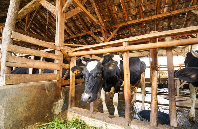 OYO Homes 91008 Eco Tourism Desa Cibodas Babakan Gentong 1 Syariah