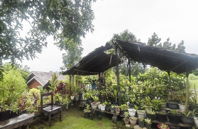 OYO Homes 91101 Homesstay Desa Wisata Marinsow Near Gereja Pantekosta Marinsow