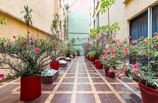 OYO Hotel Hidalgo