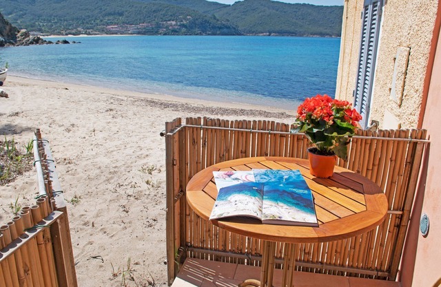 Oyster Beach - Studio