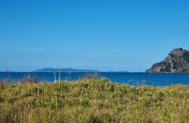Pūkeko Retreat- Beachfront