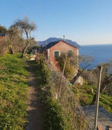 Pace tra gli ulivi e il mare