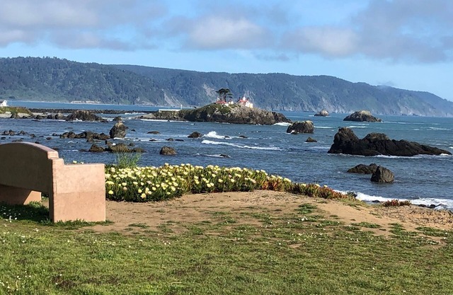 Pacific Escape-Walk to the beach! Adorable 2-bedroom Crescent City home.