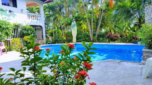 Pacific Jungle Condominium