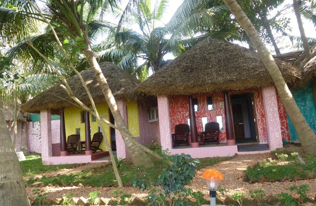 Paddy Homestay