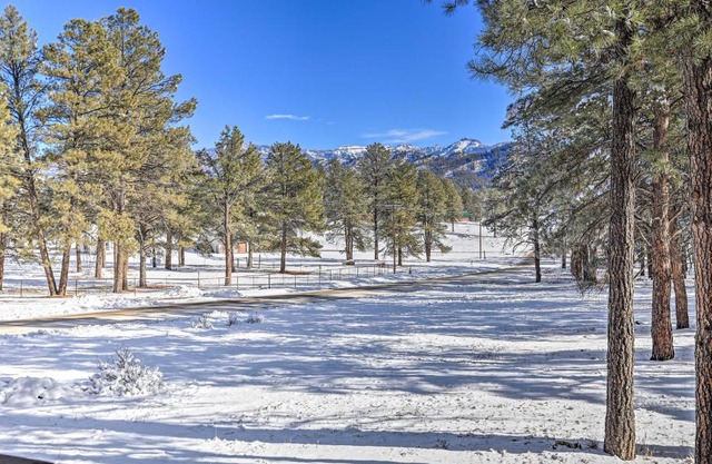 Pagosa Springs Gem with Yard, Decks and Mtn Views!