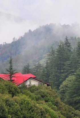 Pahadi Zayka Homestay