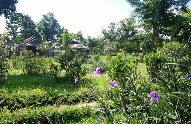 Pai Park Cottage