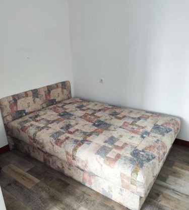 Pajić