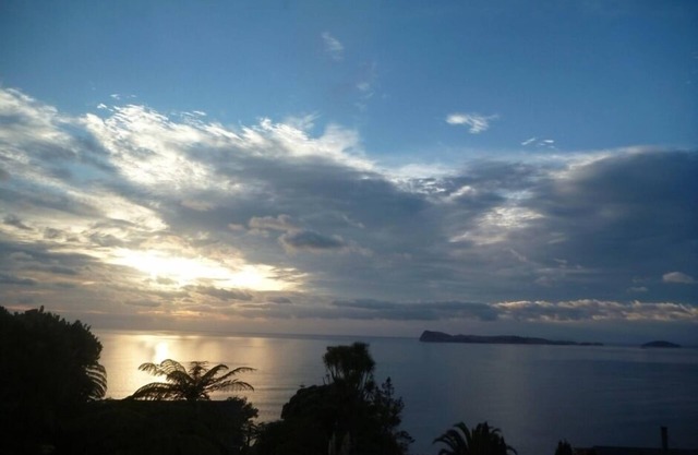 Paku Paradise, Tairua.