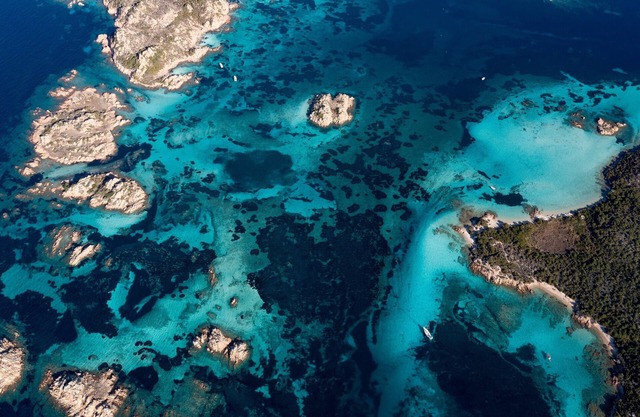 Palau Green Village Bilo